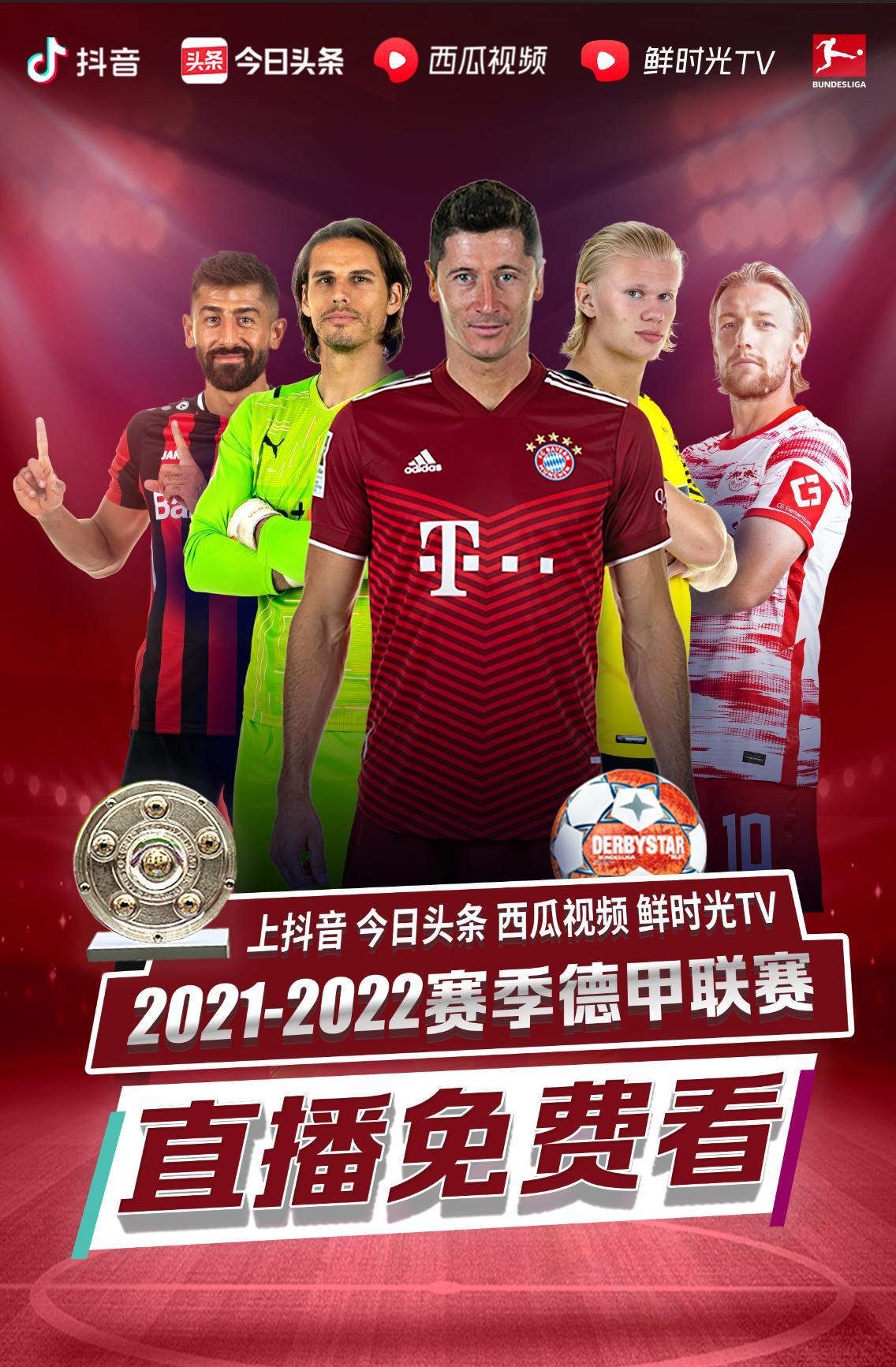 的足球观众