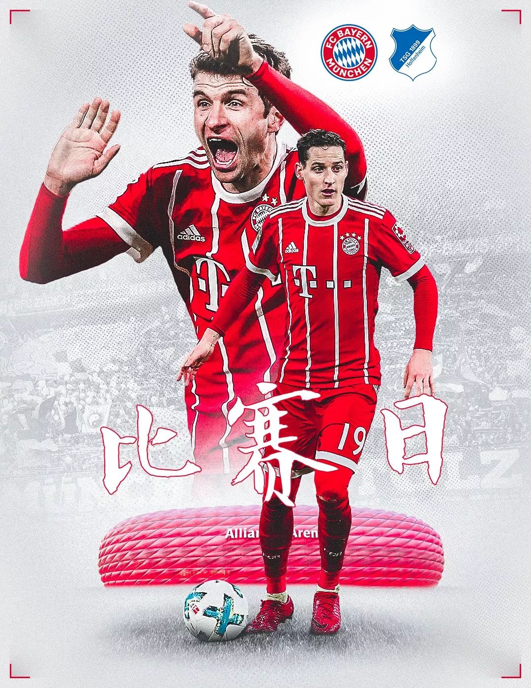 菲尼亚