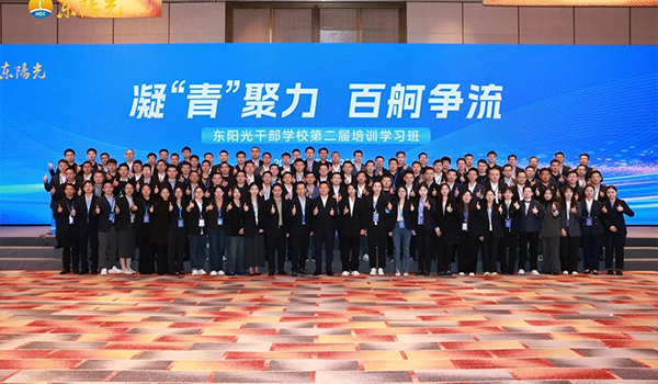 凝“青”聚力，百舸争流 | 麻将胡了2干部学校2024年第二届培训学习班圆满结束